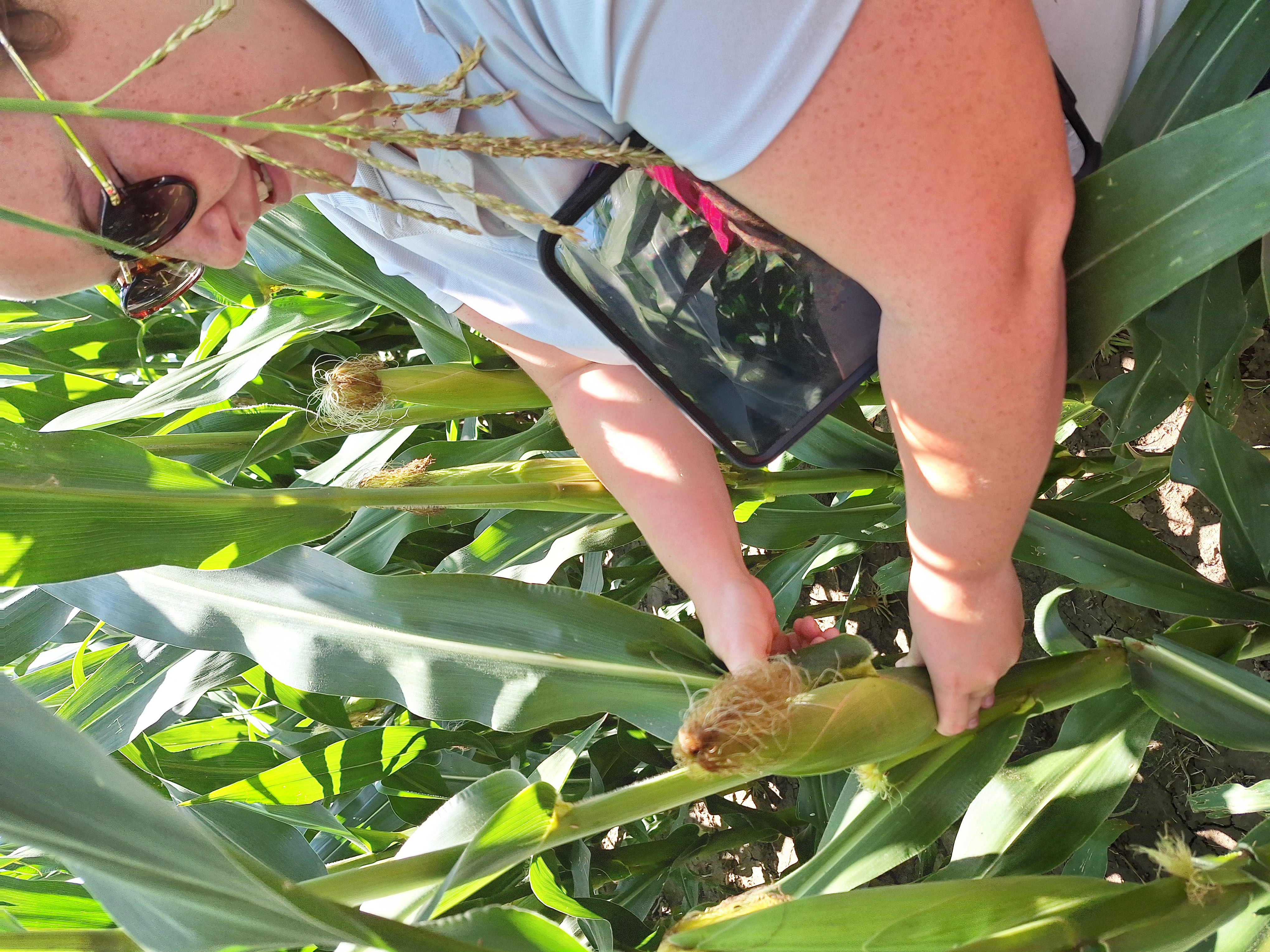 Korina Velema collecting plant tissue.