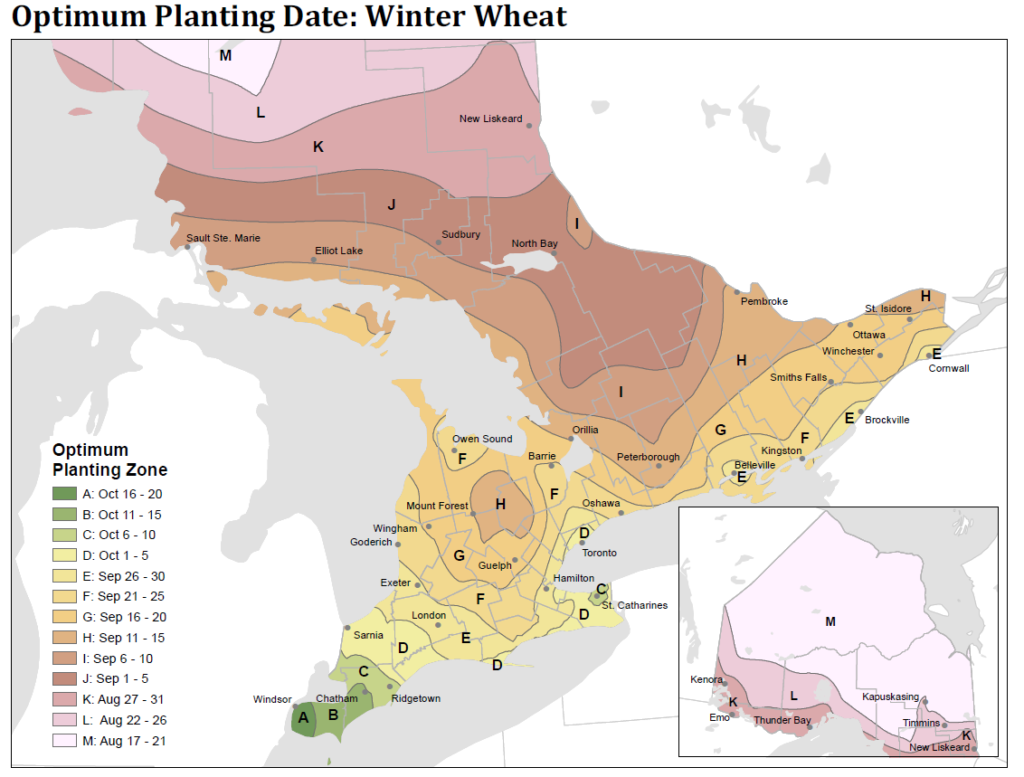 Map - optimum planting date