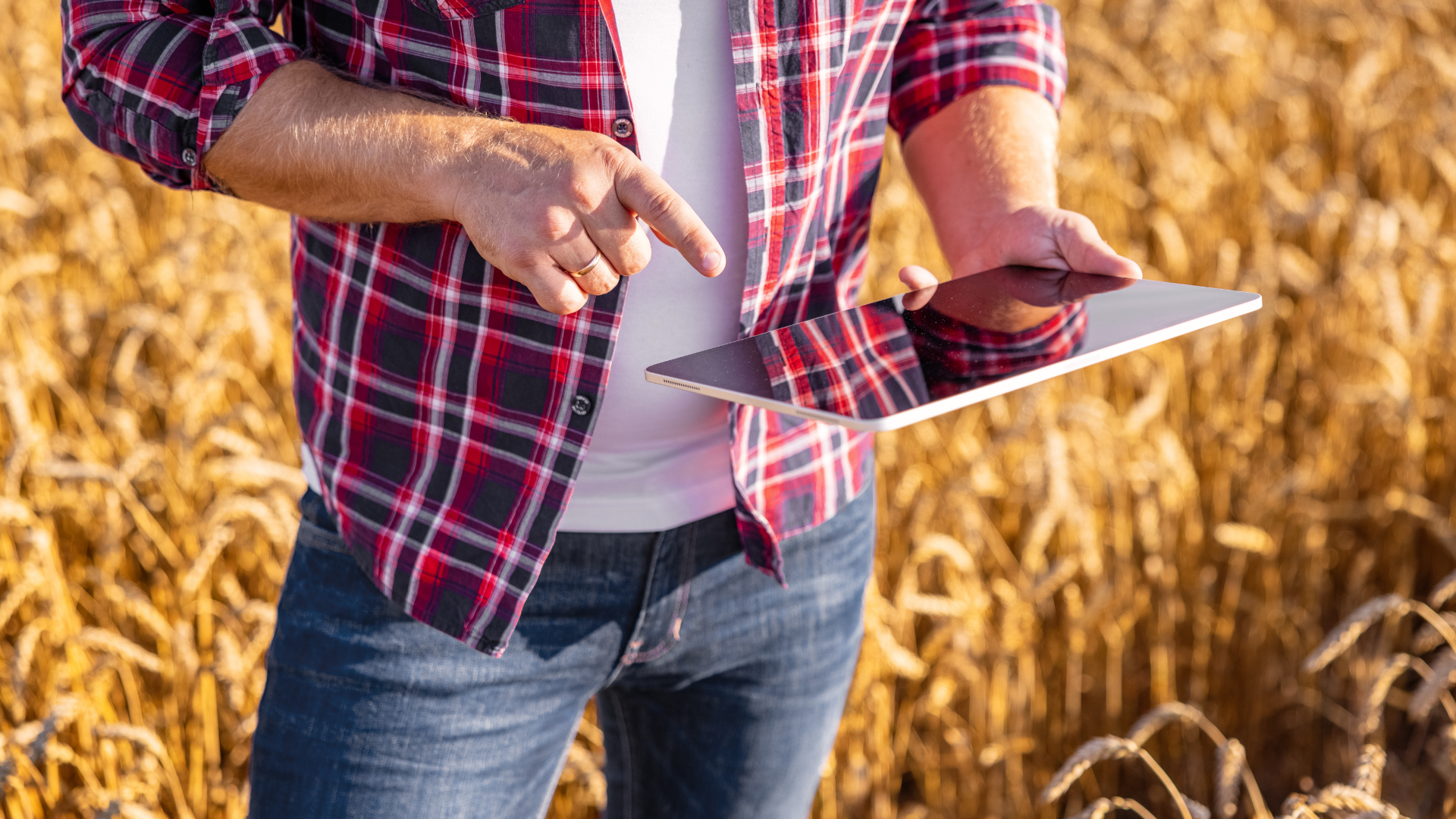 Person standing in field with ipad. 