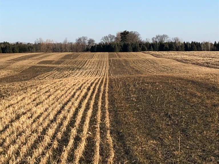 A field with variable soil texture.