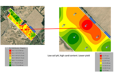 Yield map